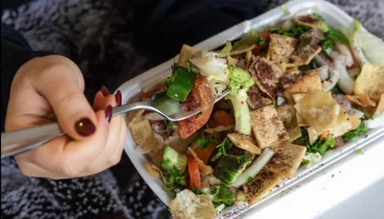 Delicious Lazeez Fatoush Salad
